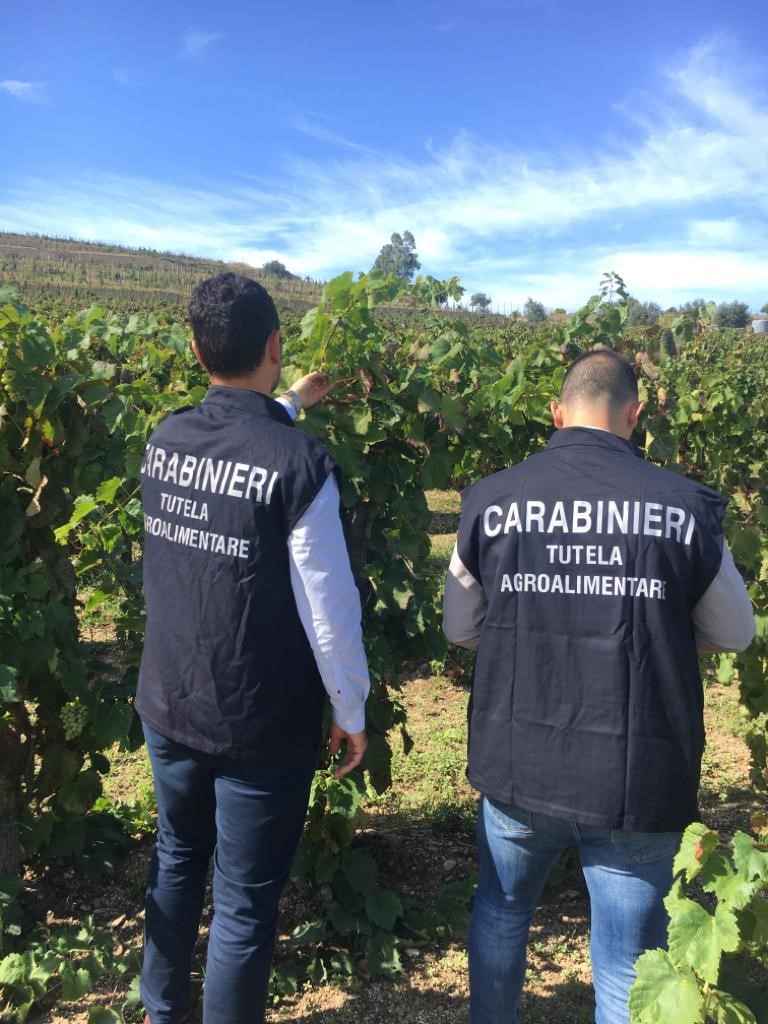 Sequestrato vino e mosto per oltre un milione di euro ad azienda vinicola della Capitanata.
