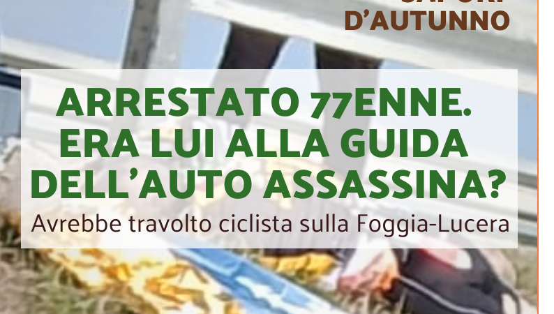 Foggia Post 31 ottobre 2024. Sfoglia gratuitamente il giornale