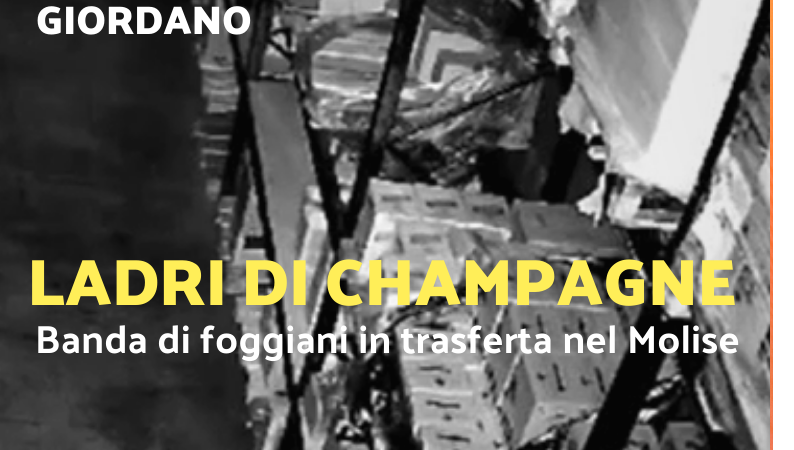 Foggia Post 8 novembre 2024. Sfoglia gratuitamente il giornale