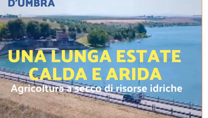 Foggia Post 17 giugno 2025. Sfoglia il giornale gratuitamente