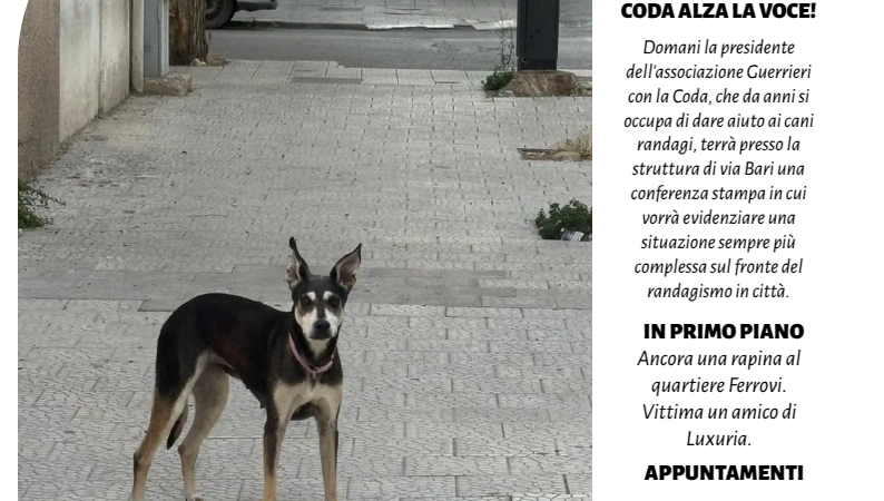 Foggia Post 28 agosto 2025. Sfoglia gratuitamente il giornale