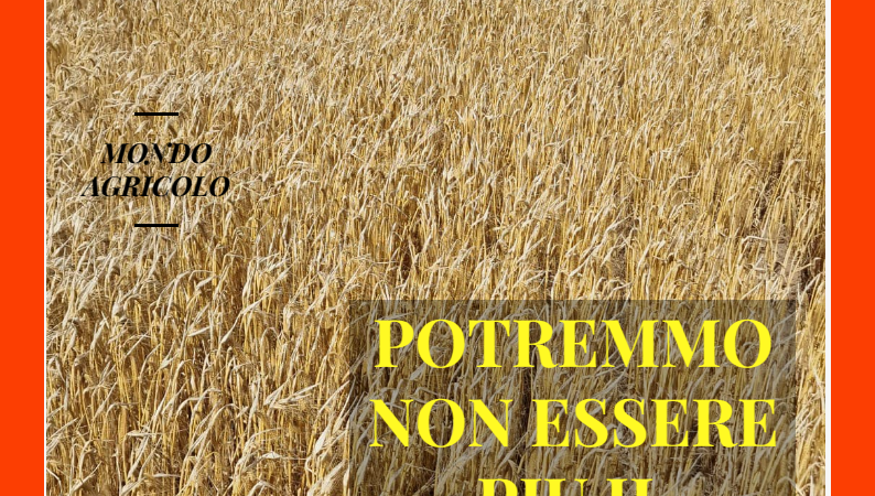 Foggia Post 22 ottobre 2025. Sfoglia gratuitamente il giornale