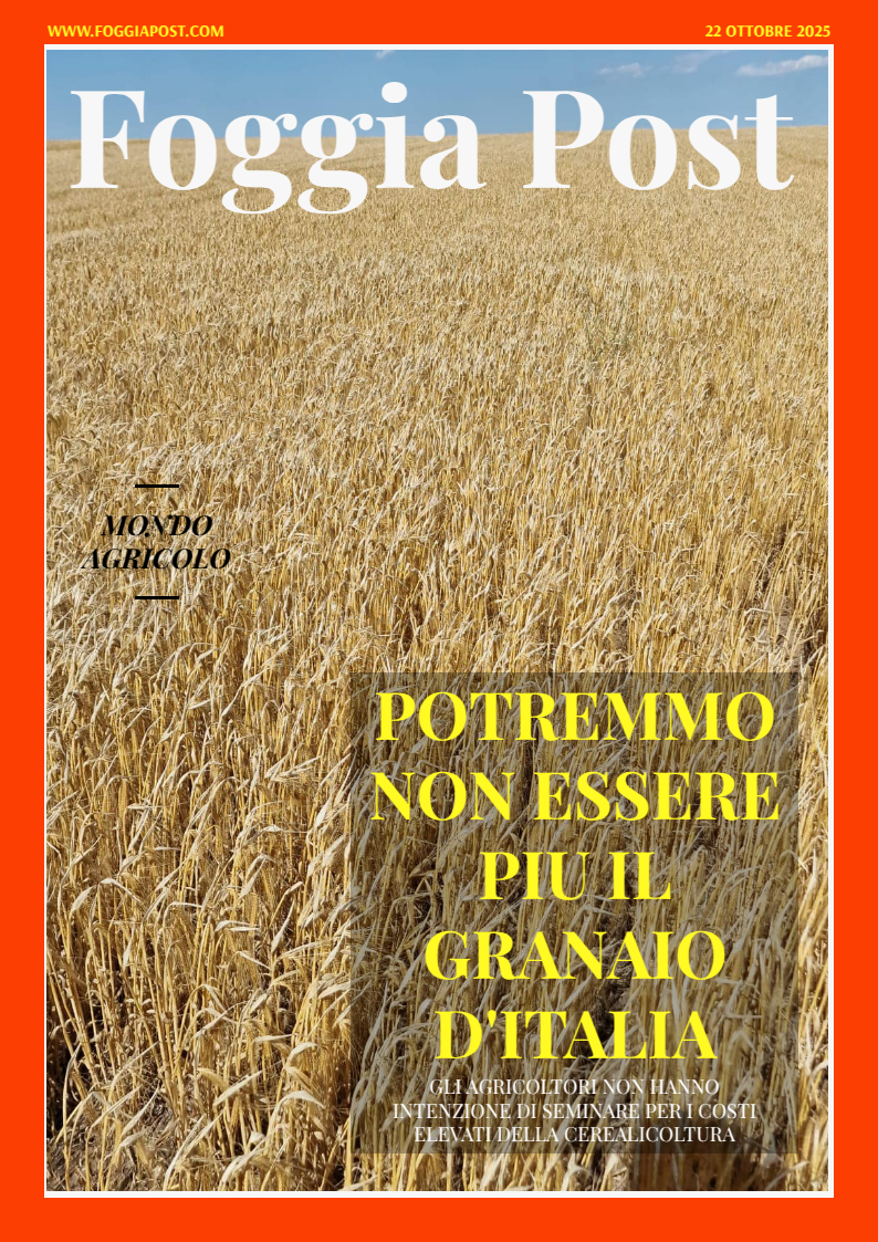 Foggia Post 22 ottobre 2025. Sfoglia gratuitamente il giornale