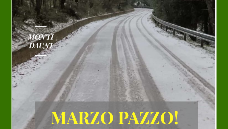Foggia Post 19 marzo 2026. Sfoglia gratuitamente il giornale