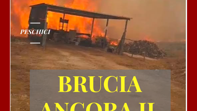 Foggia Post 27 luglio 2026. Incendio a Peschici: Ci vogliono più mezzi e risorse per evitare conseguenze drammatiche