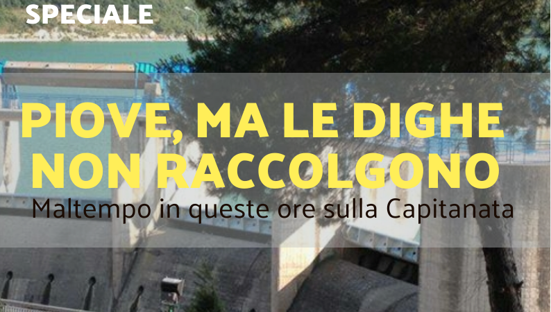 Foggia Post 5 dicembre 2024. Sfoglia gratuitamente il giornale