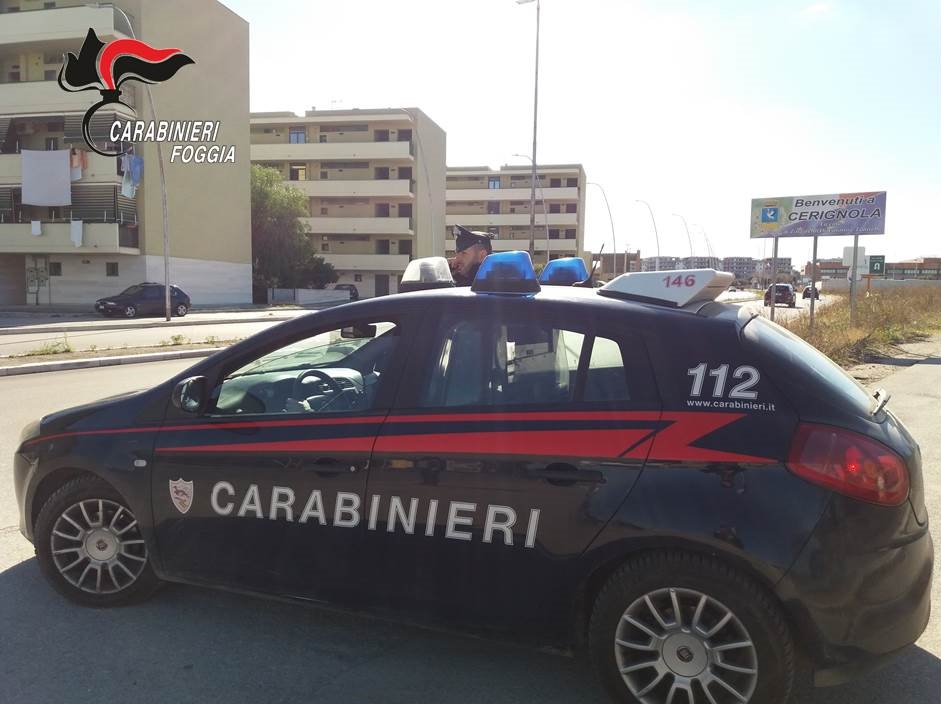 Controli e arresti dei carabinieri.