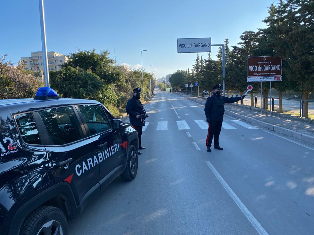 Controlli dei carabinieri sul Gargano. Tra controlli per spaccio di droga, auto rubate e verifica misure anti Covid.