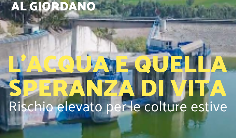 Foggia Post 28 gennaio 2025. Sfoglia gratuitamente il giornale