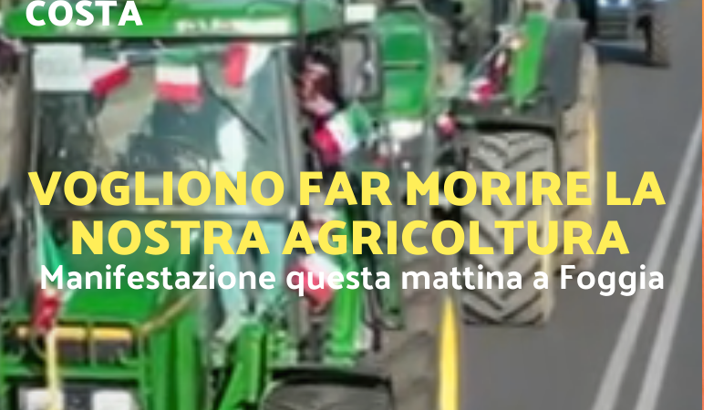 Foggia Post 31 gennaio 2025. Sfoglia gratuitamente il giornale