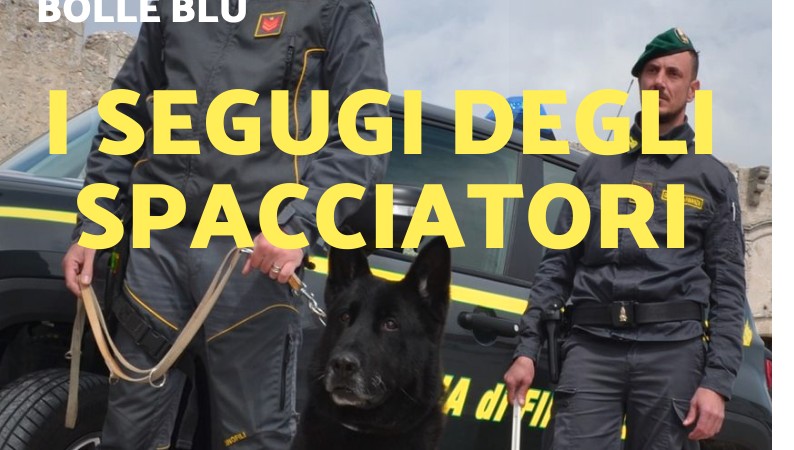 Foggia Post 26 marzo 2025. Sfoglia gratuitamente il giornale