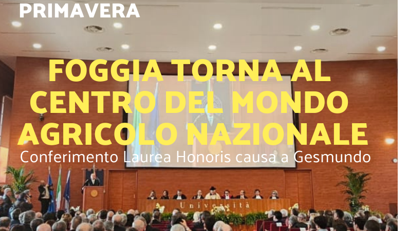Foggia Post 14 marzo 2025. Sfoglia gratuitamente il giornale