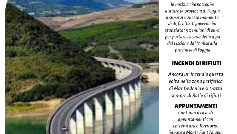 Foggia Post 17 luglio 2025. Sfoglia gratuitamente il giornale
