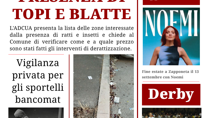 Foggia Post 7 settembre 2026. Topi e blatte in alcune zone di Foggia. Chiesto intervento